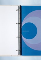 Filestrip GBC 34-gaats A4 transparant 100stuks-2