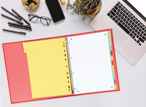 OXFORD tabbladen, formaat A4, uit karton, onbedrukt, 11-gaatsperforatie, geassorteerde kleuren, 12 tabs-2