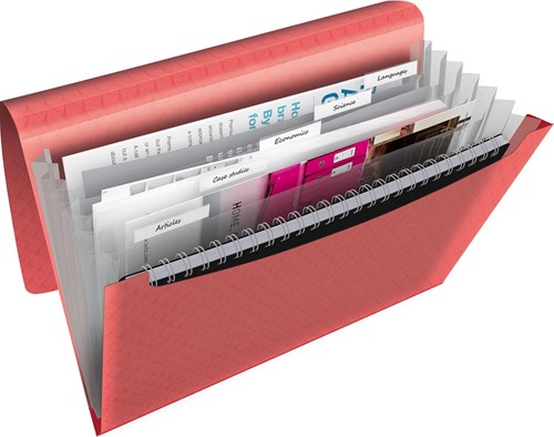 Esselte Colour'Breeze voorordner, 6 vakken, koraal-2