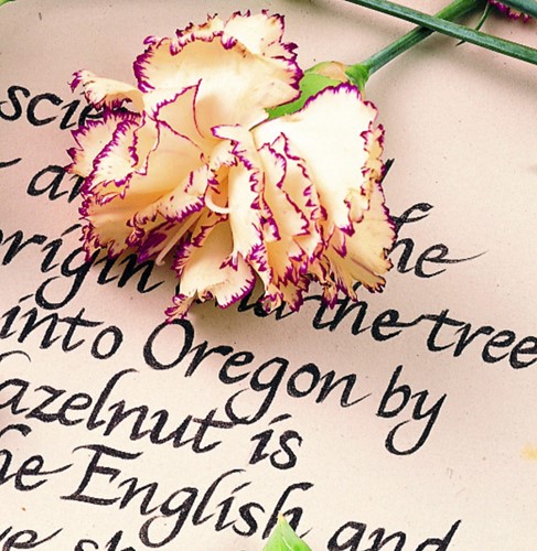 Fineliner Staedtler Pigment 308 assorti 0.5mm set à 6st assorti-2