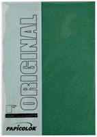Kopieerpapier Papicolor A4 100gr 12 vel dennengroen-3
