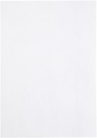 Kopieerpapier Papicolor A4 90gr 12 vel kraft wit-2