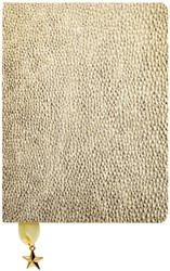 Notitieboek goud metallic