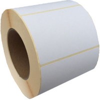 Etiket Zebra 100x70 mm met 25 mm kern