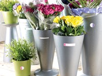 Avery Family gelamineerde etiketten, etui met 24 etiketten, geassorteerde formaten en fluo kleuren-2