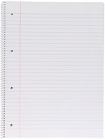 Gallery spiraalblok ft A4, gelijnd, 80 vel, 4-gaats-2