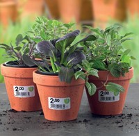 Avery afneembare weerbestendige etiketten Ft 99,1 x 42,3 mm (b x h), wit, doos van 240 etiketten-3