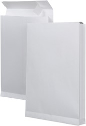 Monsterzakenveloppen ft 229 x 324 x 38 mm