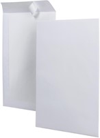 Bordrugenveloppen ft 229 x 324 mm, doos van 100 stuks