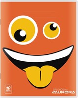 Splendid schrift, 72 bladzijden, ft 16,5 x 21 cm, geruit 10 mm-3