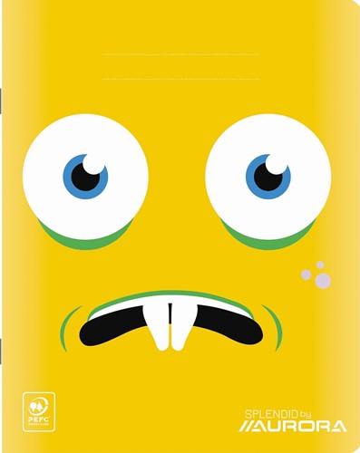 Splendid schrift, 72 bladzijden, ft 16,5 x 21 cm, geruit 5 mm-2