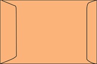 Envelop akte IEZZY 250x350mm zelfklevend 90gr bruin 250 stuks-3