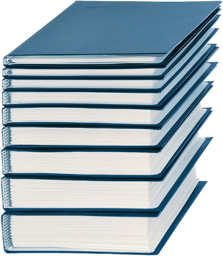 SHOWMAP RILLSTAB A5 1 KANAALS 10 TAS ZWART 1 STUK