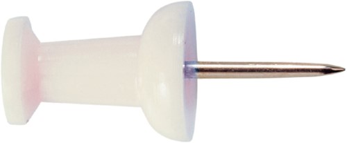 PUSH PINS OIC WIT 40 Stuk