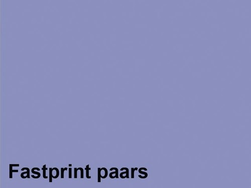 KOPIEERPAPIER FASTPRINT A4 80GR PAARS 500 VEL