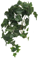 Ivy Chicago hanger M green - 46 cm lang