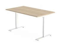 Elektrisch zit sta bureau Flex-2