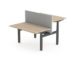 Elektrisch zit sta duo bureau Flex