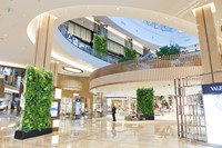 Planten scheidingswand 180x90cm -3