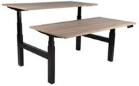 Elektrisch zit sta duo bureau Rise+