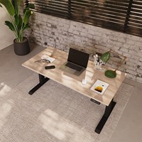 Ergo Rise + bovenaanzicht.jpg