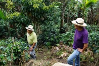 Usawa versgemalen koffie Espresso 1000 gram-3