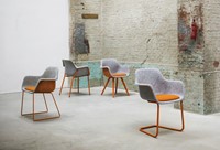 Stoel Felt sledeframe metaal-3