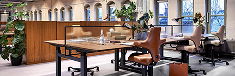 De keuze van Roel: Bureaustoel Capisco