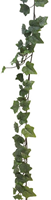(Best) Ivy Chicago garland frosted 180cm (98 lvs)