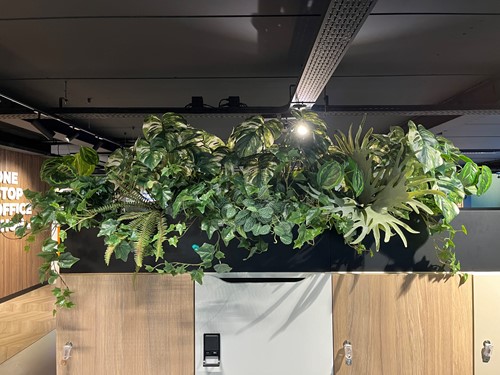 Plantenbak vulling 40 cm hoog - Catagorie 1 - 135 cm breed - Voor boven op locker