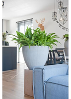 Jesslyn S, Light Grey (vert. ridg.)-2