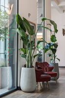 Patt high M, Light Grey (vert ridg)-2