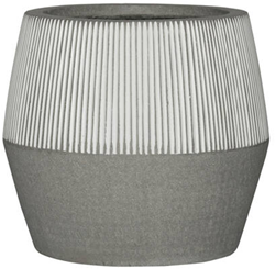 Harley L, White stripe