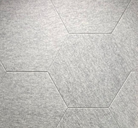 Akoestische wandbekleding PET vilt 12mm dik | Wit/Grijs/Zwart | 1000g/m2 Hexagonale tegels van 595 x 693 mm