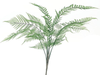 Pteris fern bush green - 83cm hoog