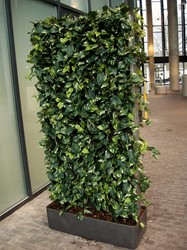 Planten scheidingswand 180x90cm 