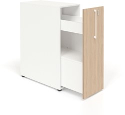 Apothekerskast 2 | 42 x 80 x 109 cm